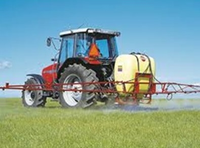 Control integrat de males herbes en cereal d’hivern