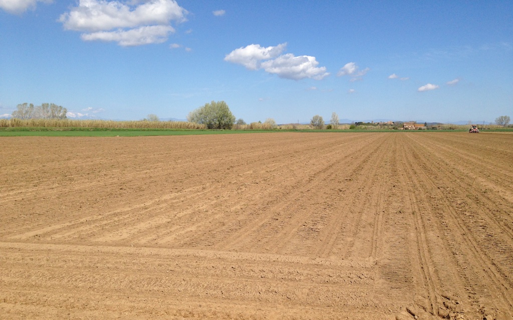 Control de males herbes del blat de moro en pre-emergència