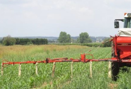 Full informatiu del pla per a la millora de la fertilització agrària al Vallès