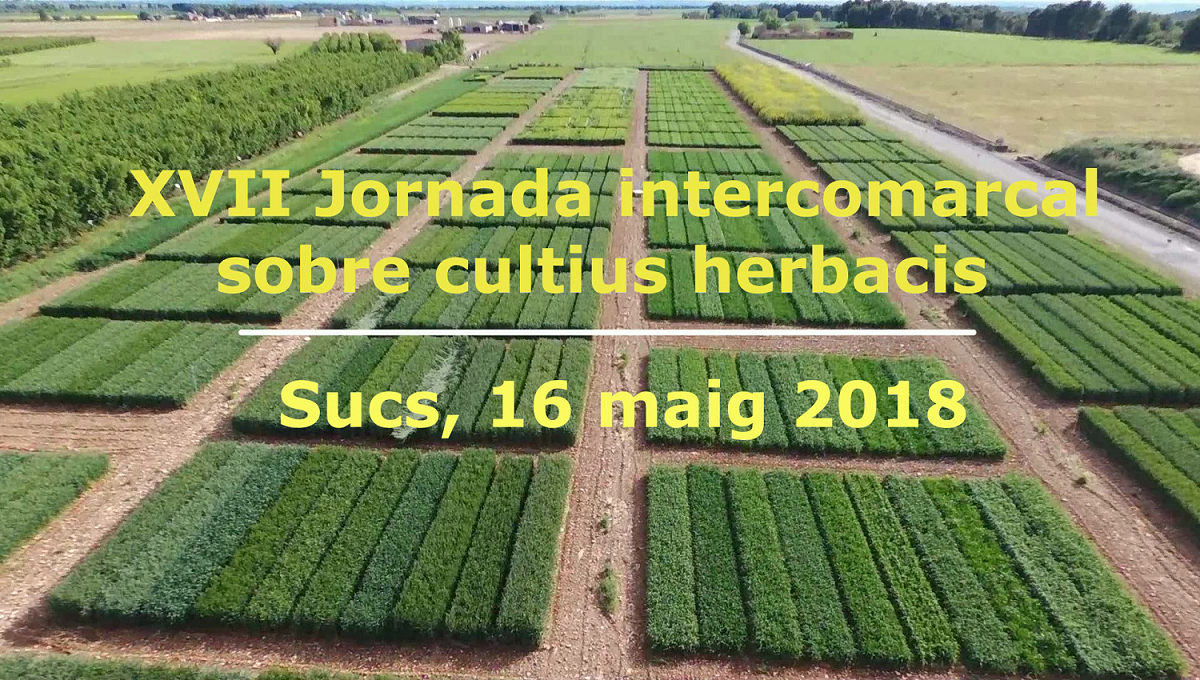 XVII Jornada intercomarcal sobre cultius herbacis