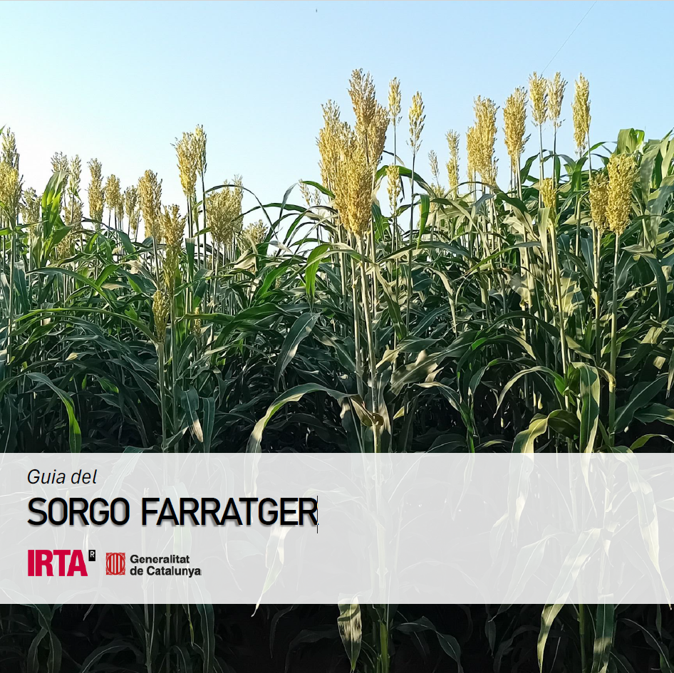 Guia del SORGO FARRATGER
