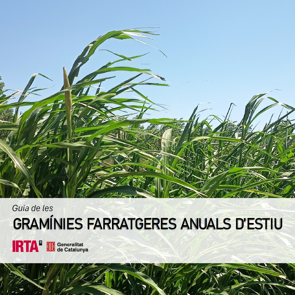 Guia de les GRAMÍNIES FARRATGERES ANUALS D’ESTIU